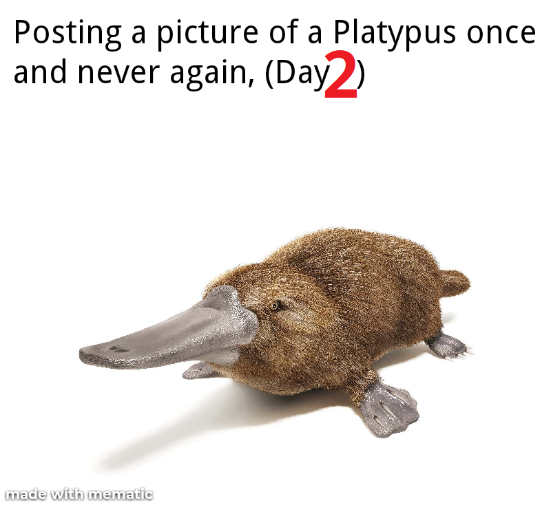 The Platypus Returns!