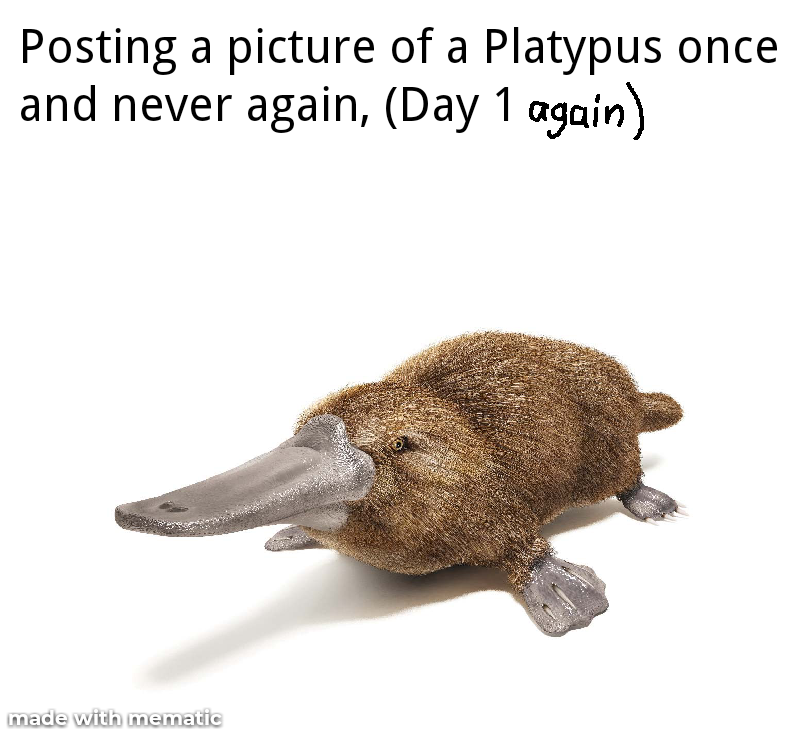 An never again