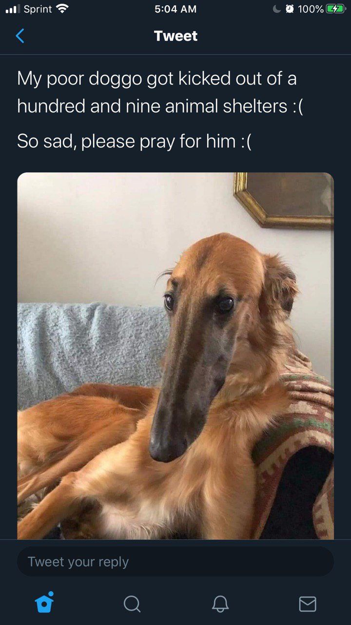 awooooo