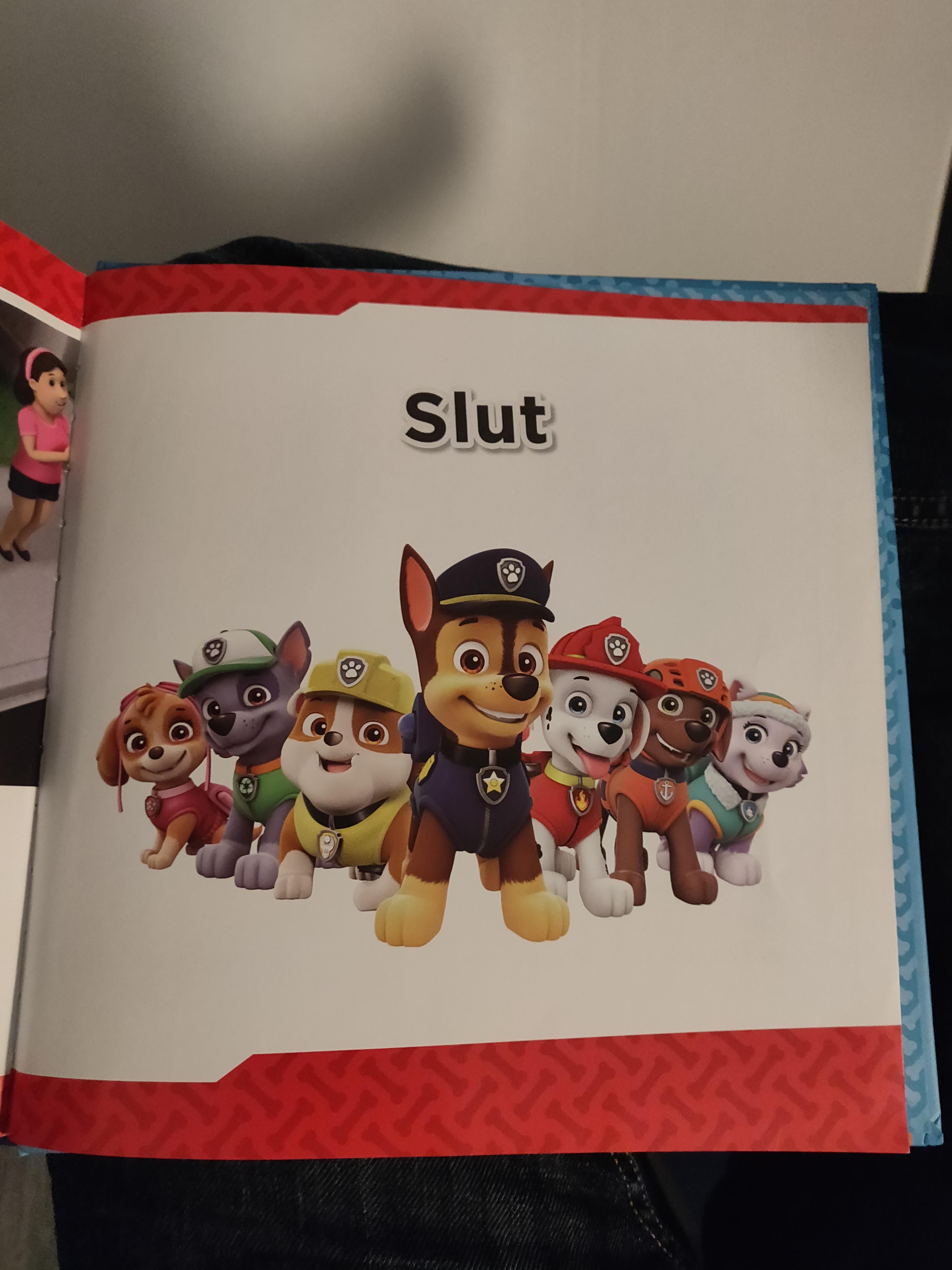This is how my daughter's Paw Patrol book ends.
