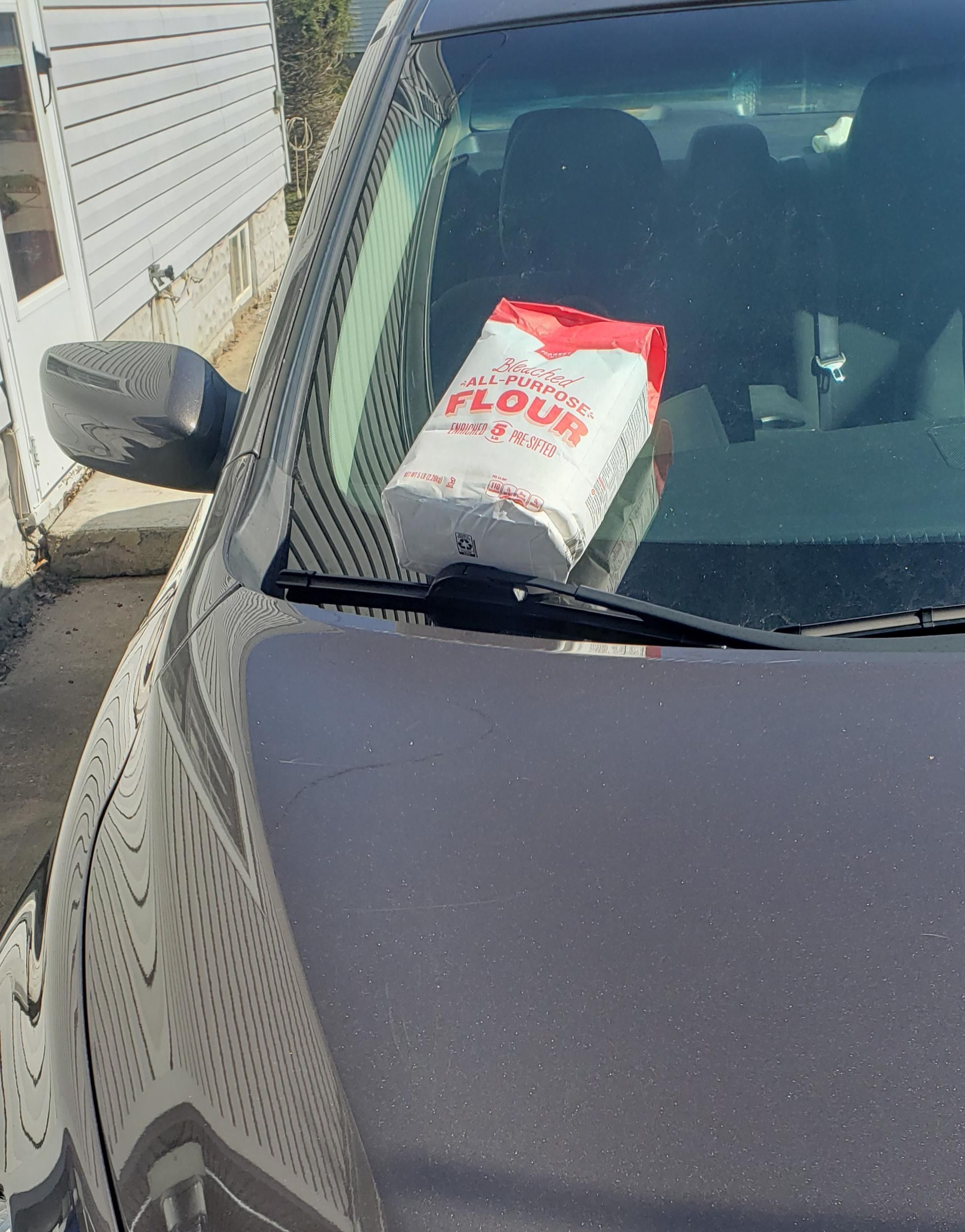 I think I have a secret admirer. They left a flour on my car this morning.