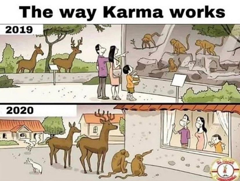 Is real karma Why Karma