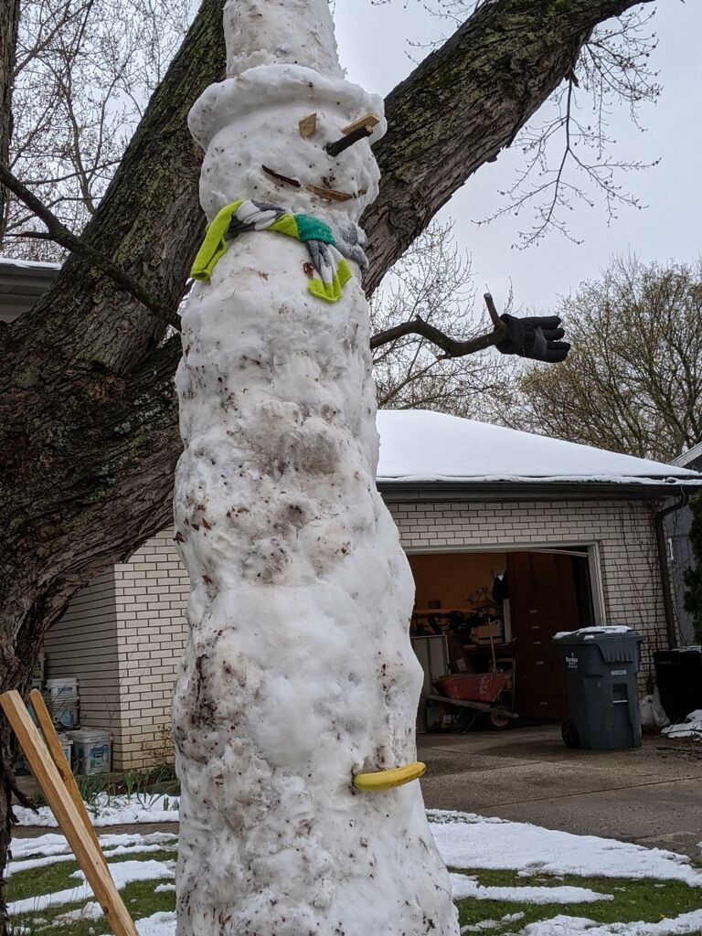 My dad, my fiancé, and I built a snowman today . Banana for scale.