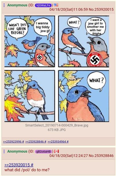 /pol/