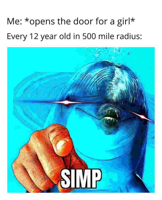 idiot