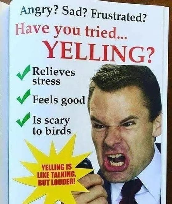 Yelling is talking ,but louder !