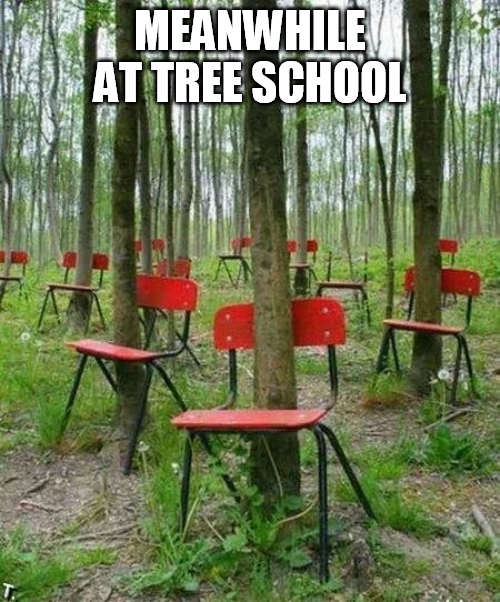 At least they leaf me alone