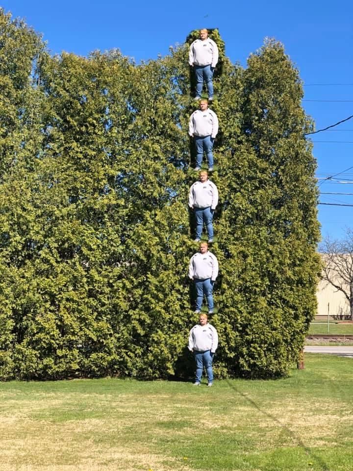 My brother wanted to measure the trees in his yard. This is how did he did it.