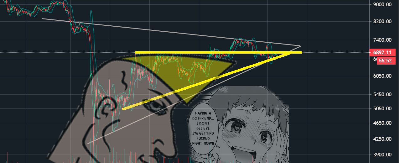 Memes should be traded on the stock market
