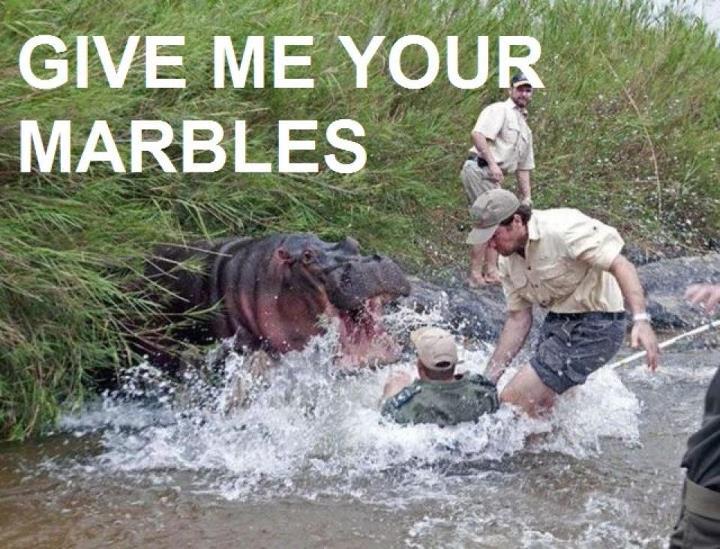 Hungry hungry hippo wants...