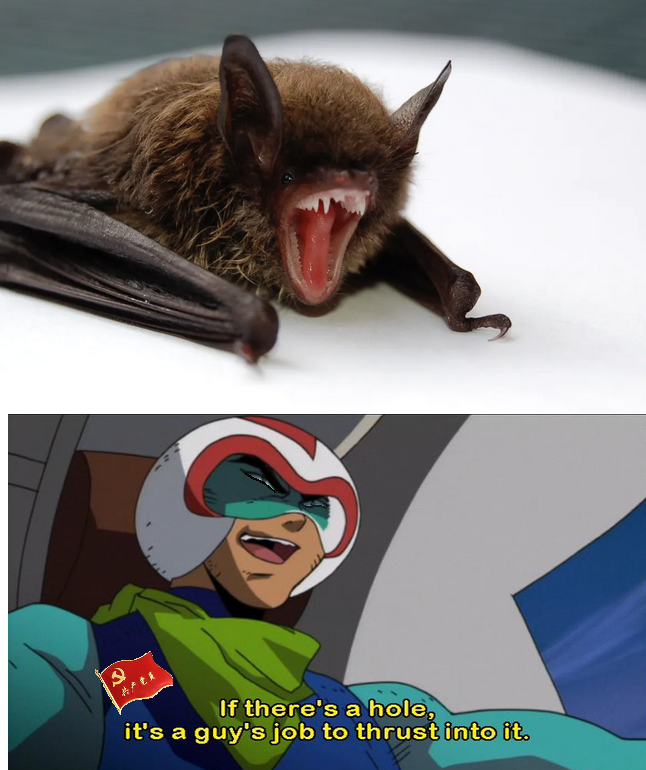 Also works with Monkey's