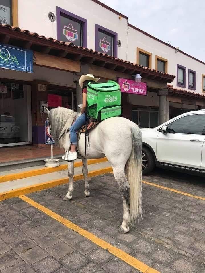 Meanwhile in Mexico..