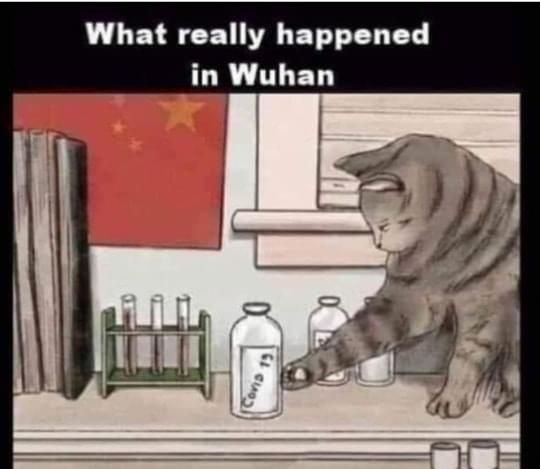What really happened in Wuhan