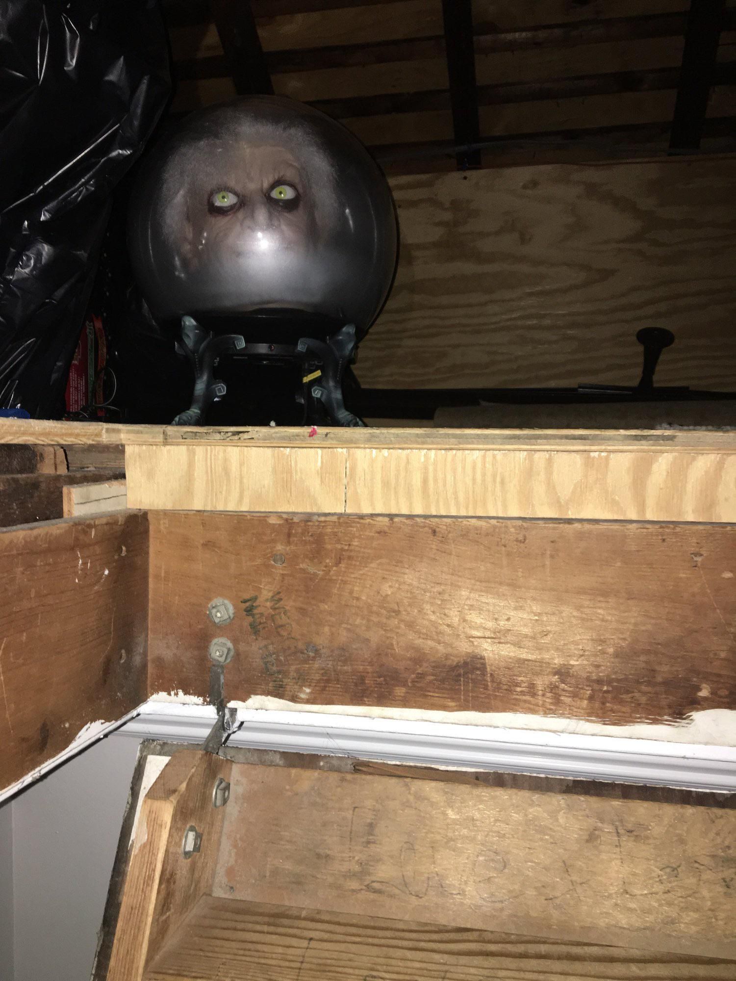 One of my HVAC technicians spotted this on his way to the attic. Almost had a heart attack.