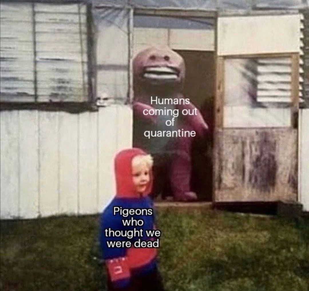 sneak up on it and grab one for a snack