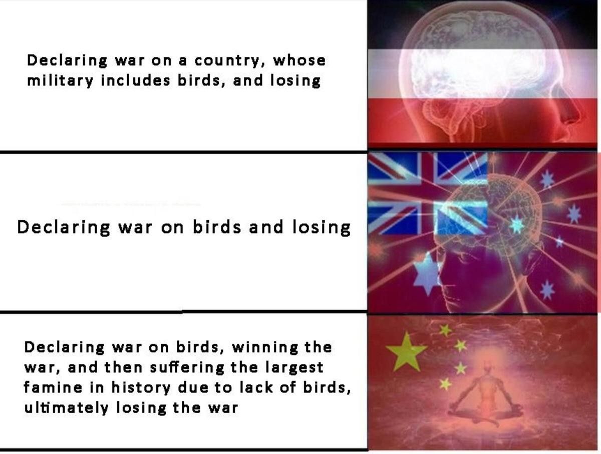 War on birds never changes