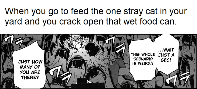 I won't complain