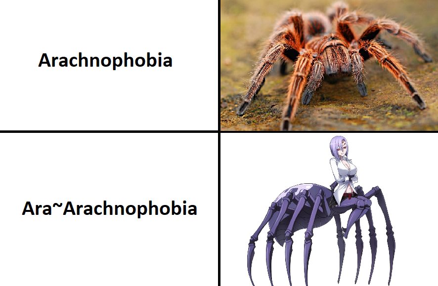Spiders are so confusing