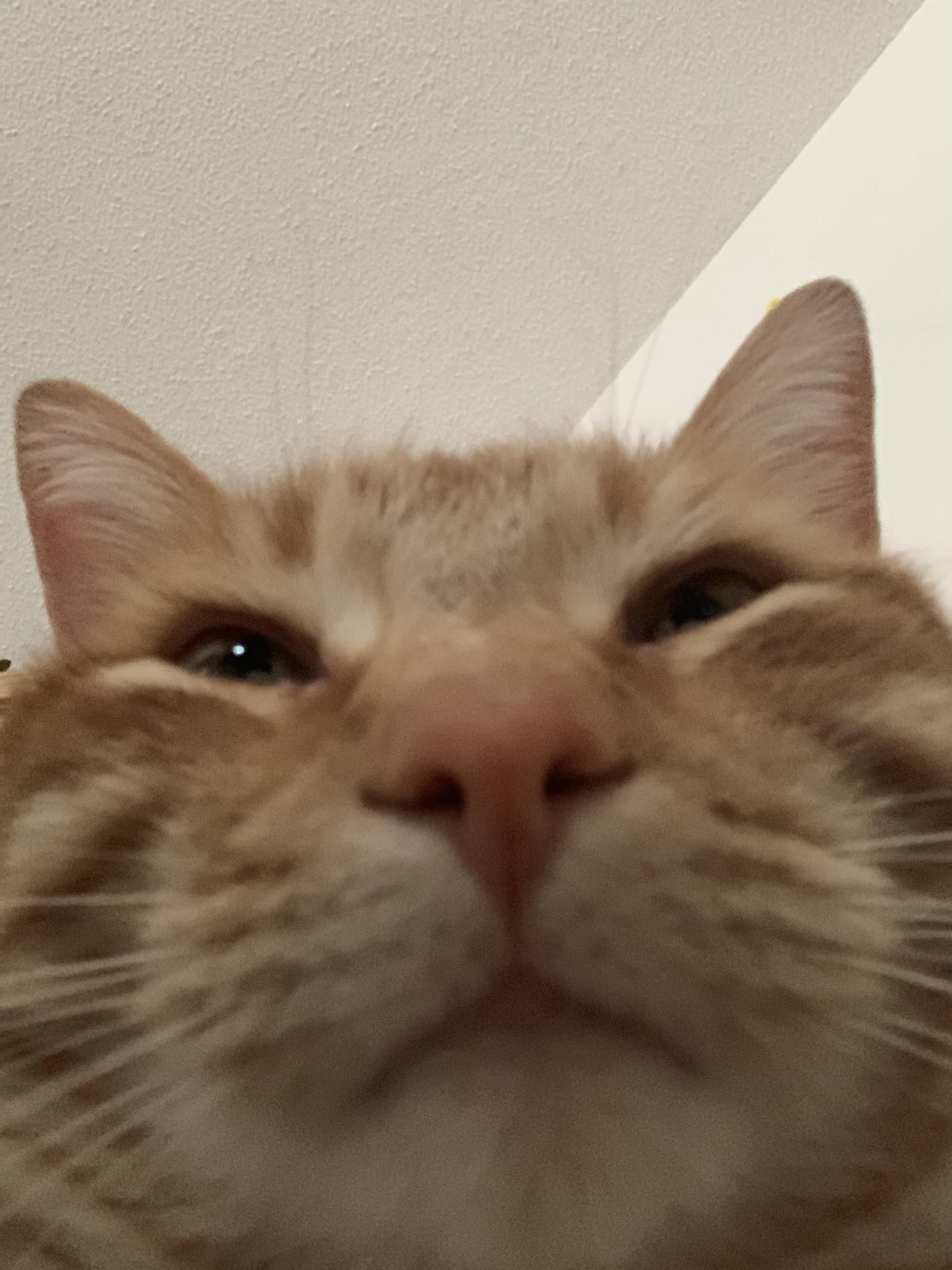 You got games on your phone?