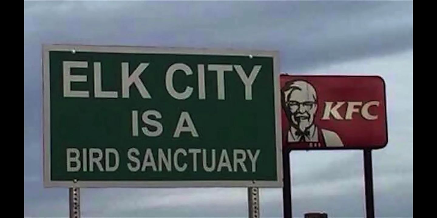 OWL CITY is a SHIT ARTIST