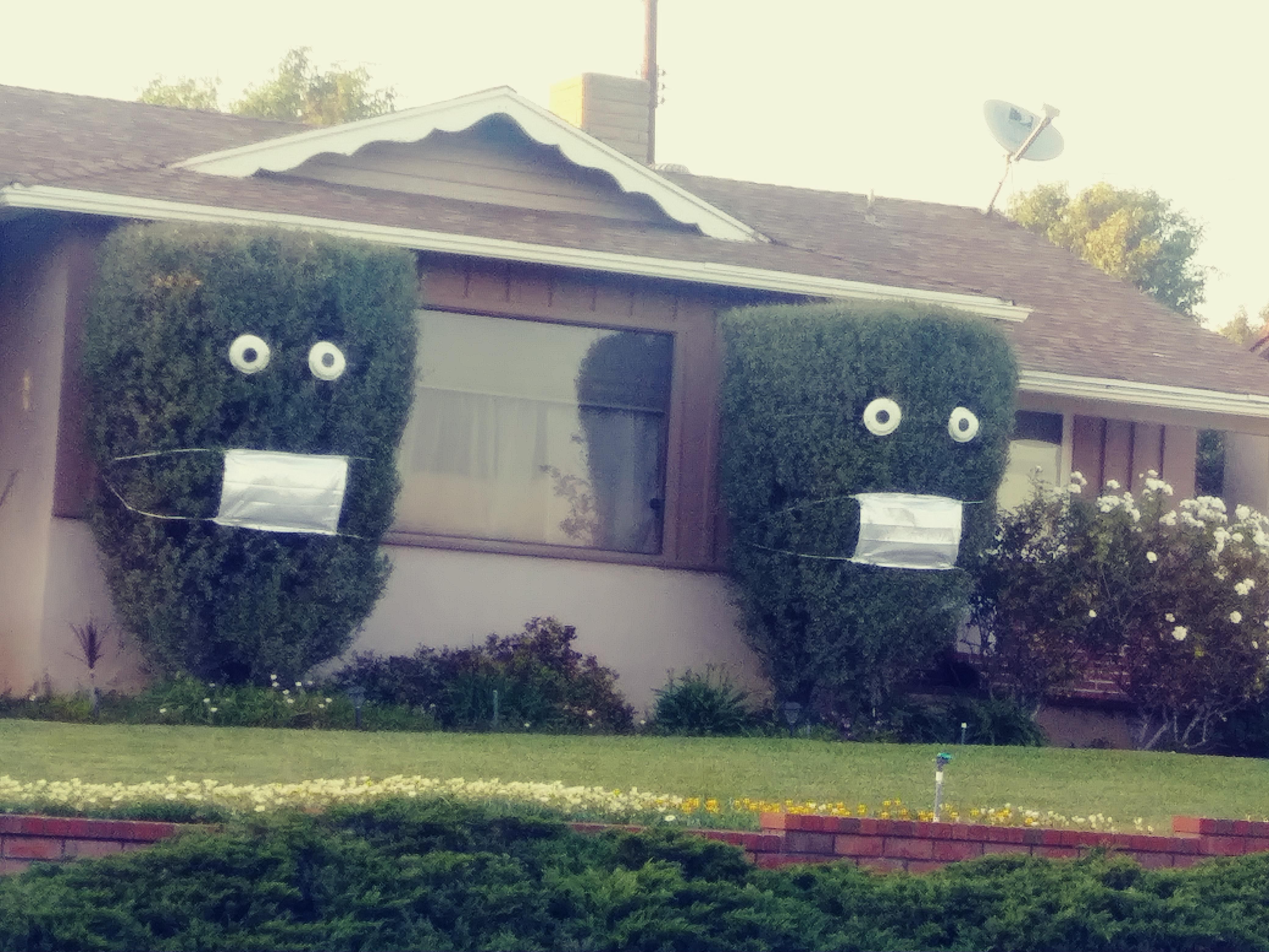 A house down the street from where I live.
