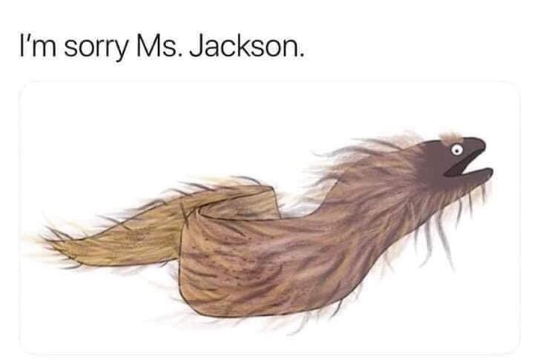 I'm Sorry Ms. Jackson...