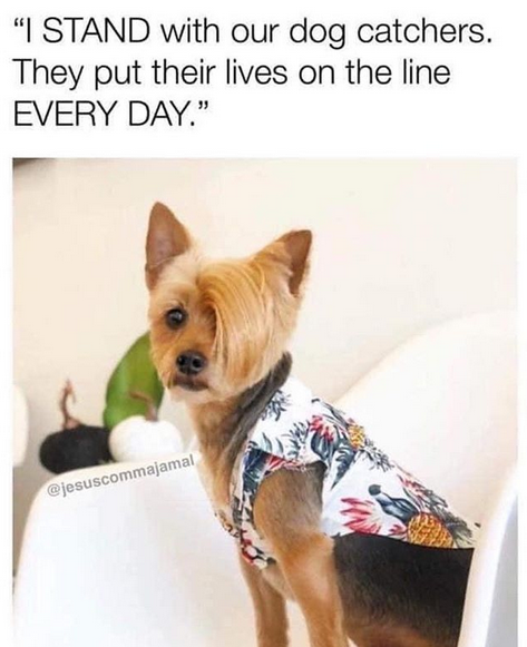Karen Dog.