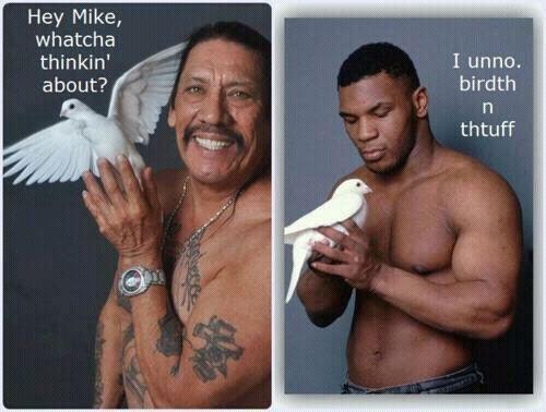Birdth n thtuff