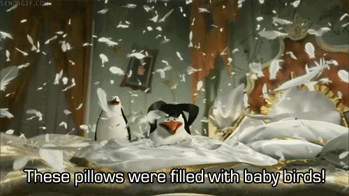 Penguin Pillow Fight Illuminates The Horrid Reality of Existence