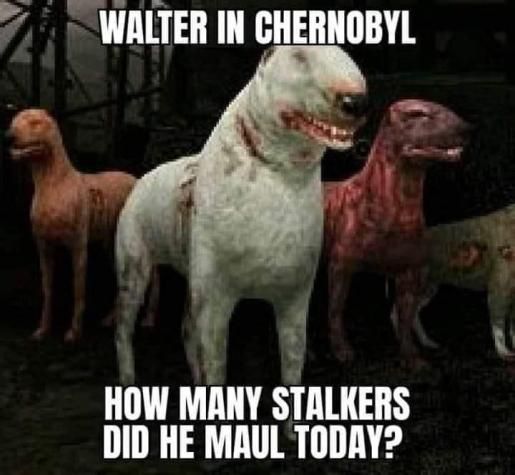 yes