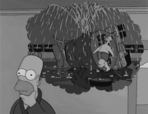 Homer in a nutshell