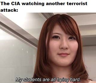 good job, terrorist-kun