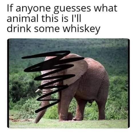 Vodka actually, leave your guesses in the comment section