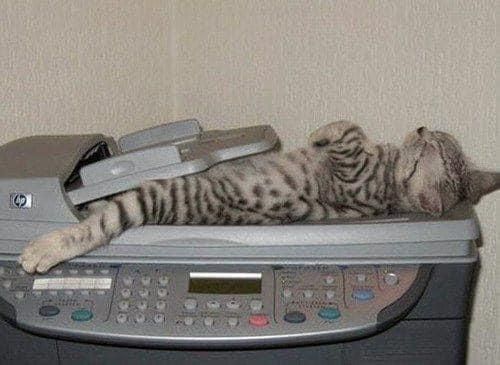 Copy cat or CAT scan?