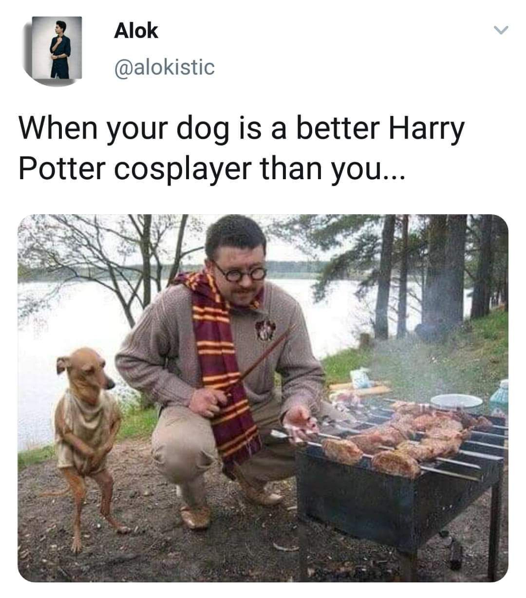 Harry Potter and Dobby enjoying a quiet BBQ
