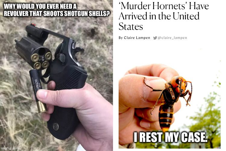 Murder Hornets, you say?