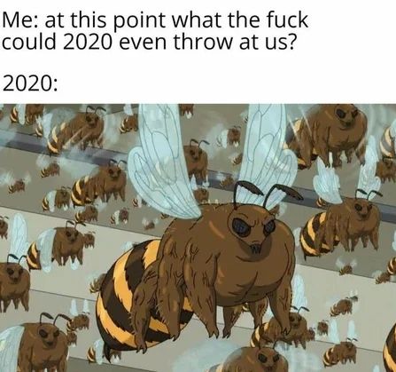 Bee