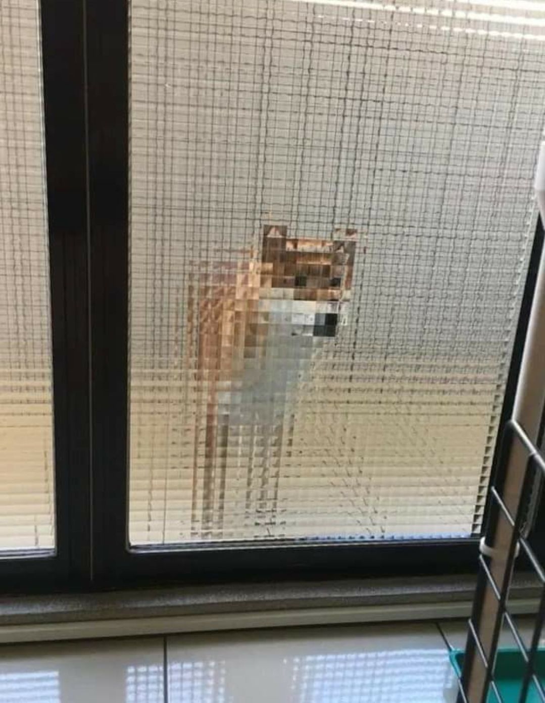 Pixel dog.