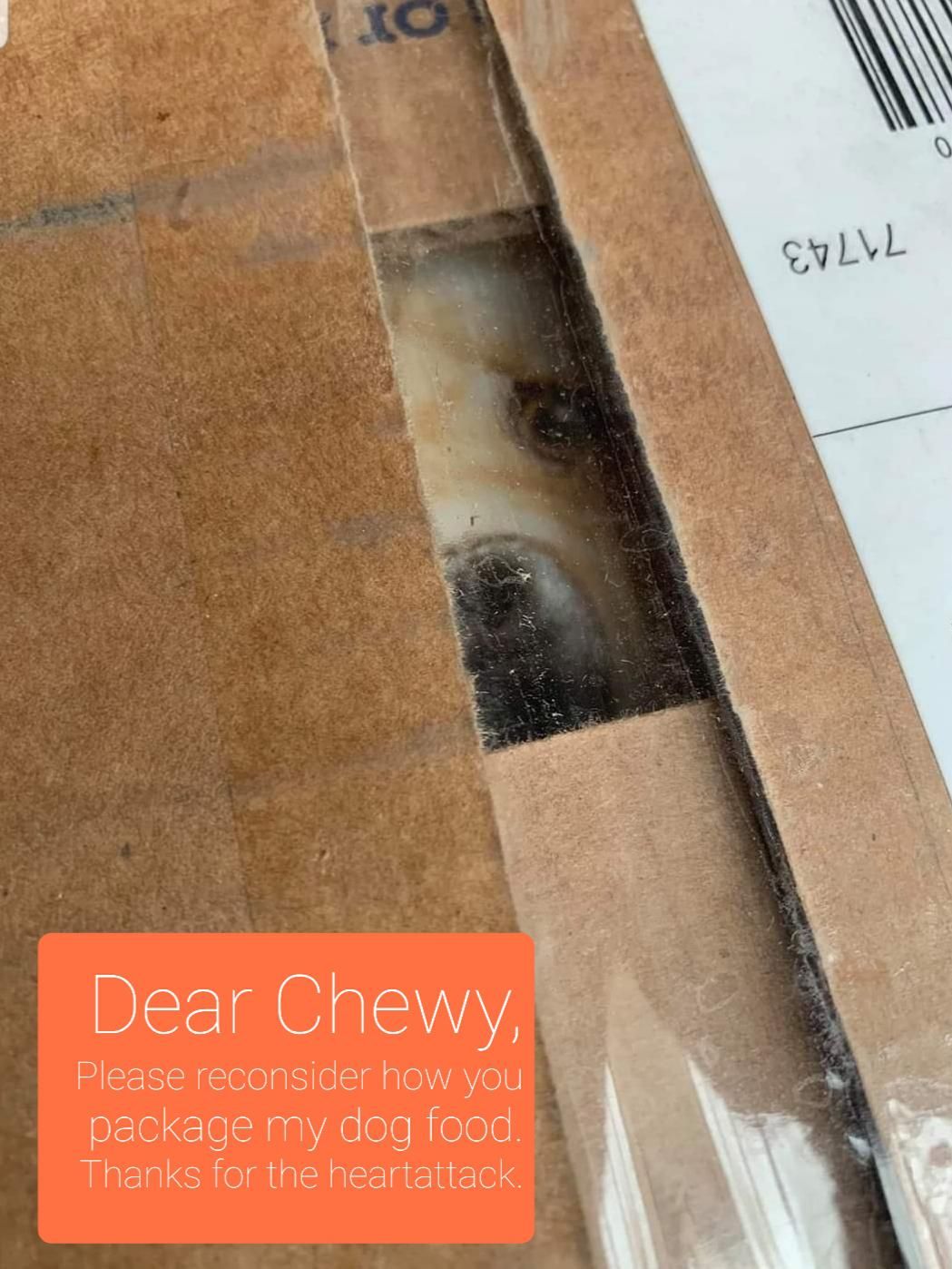 A quick note to Chewy...