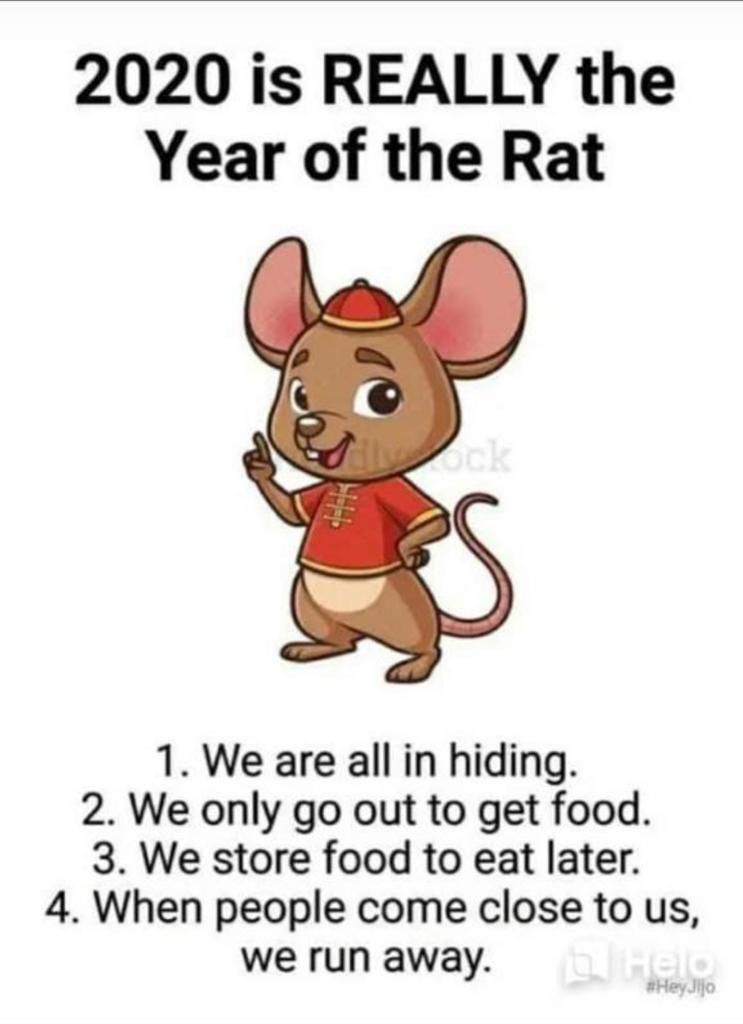 2020 year of the rat for sure