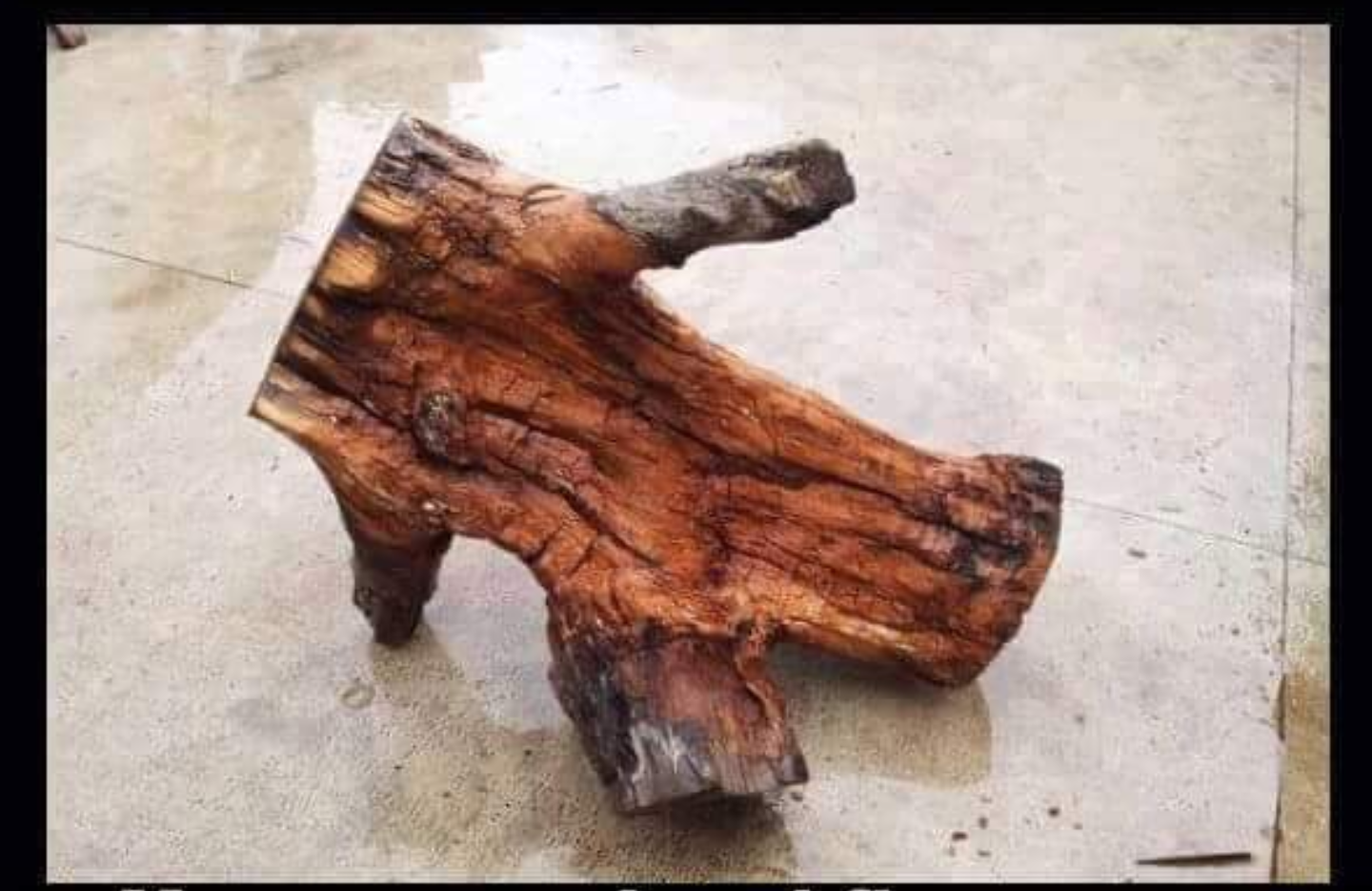 you can be as cool as you want, but yoi'll never be as cool as this breakdancing piece of wood