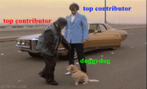 How top contributors see's doggydog
