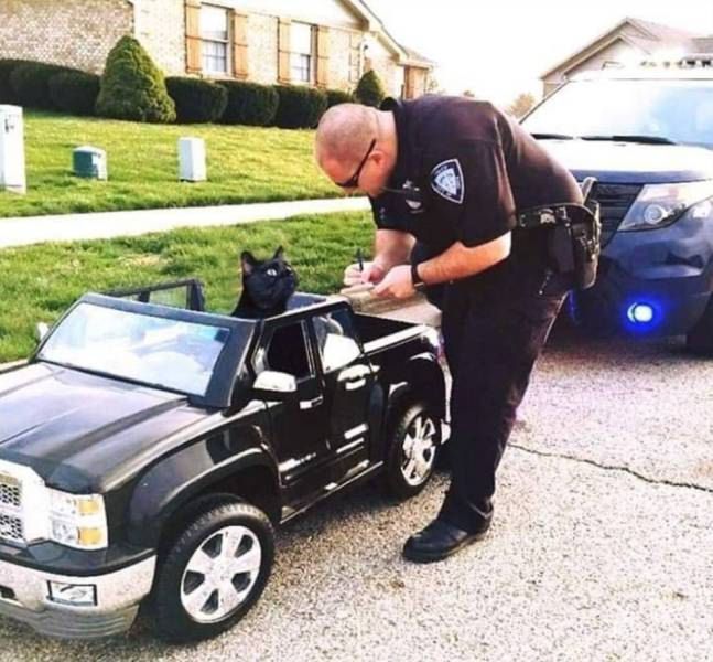 You pulled me over because I'm black.