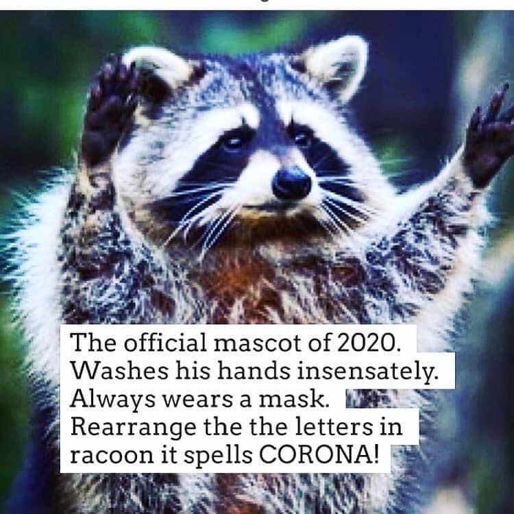 Trash Panda : Corona virus Mascot