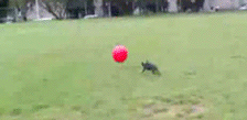 Not a single f*ck was given that day