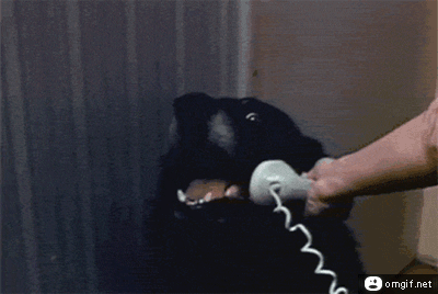 Now available as a gif!