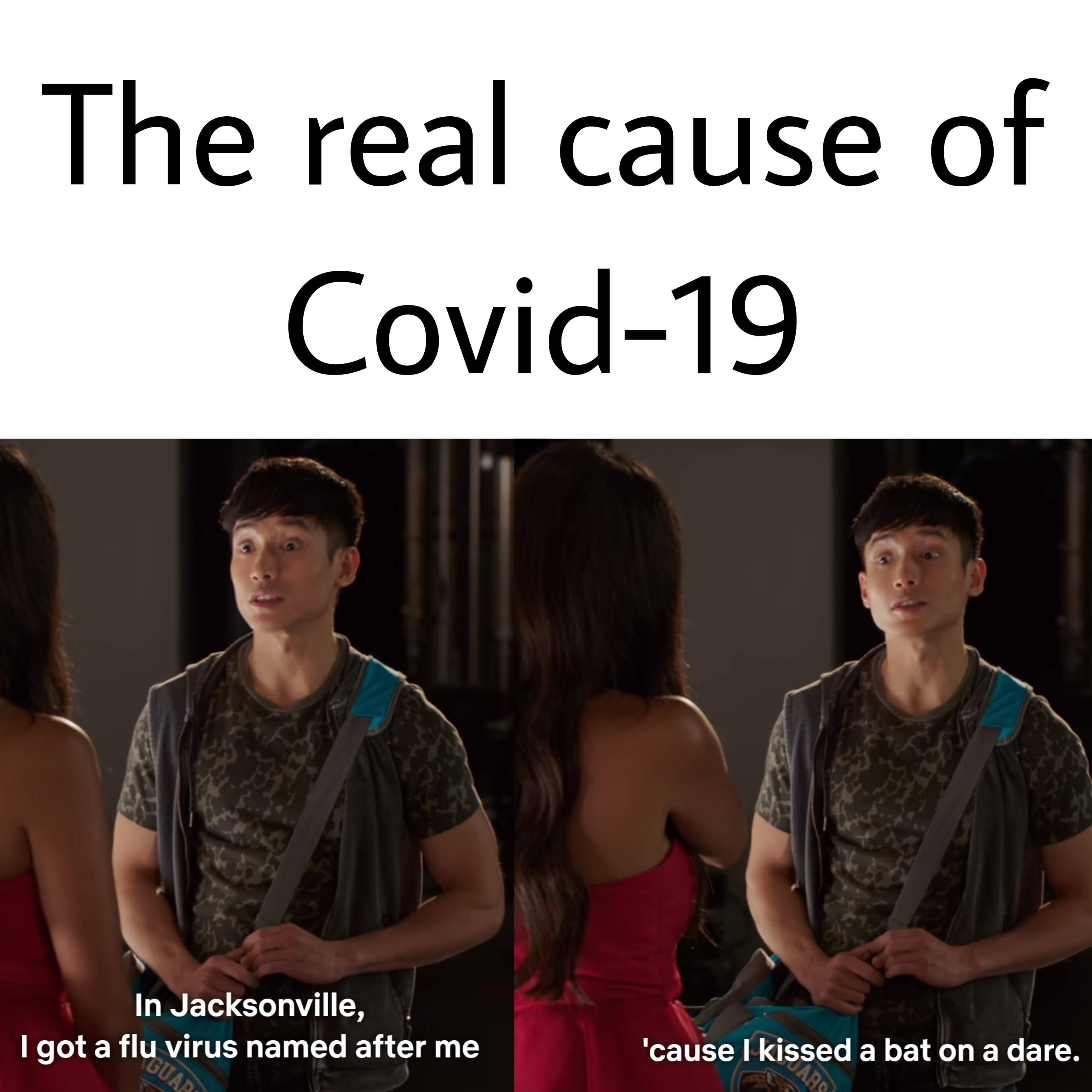 The true cause of corona