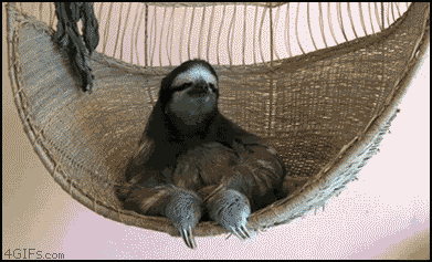 Probably the most relaxed deal with it you ever gonna see
