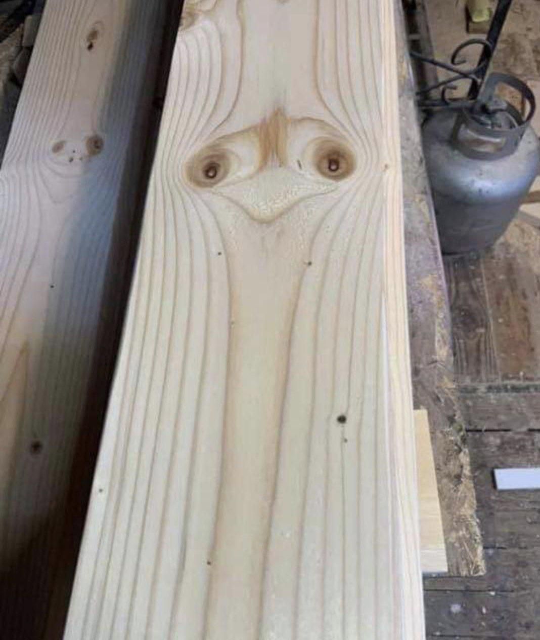 Bought this 2x4 cause it was staring at me. I might never use it. Credit to @jvharris_1965 on Twitter.
