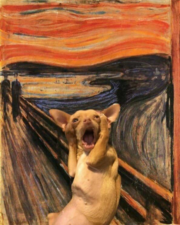 The screaming dog